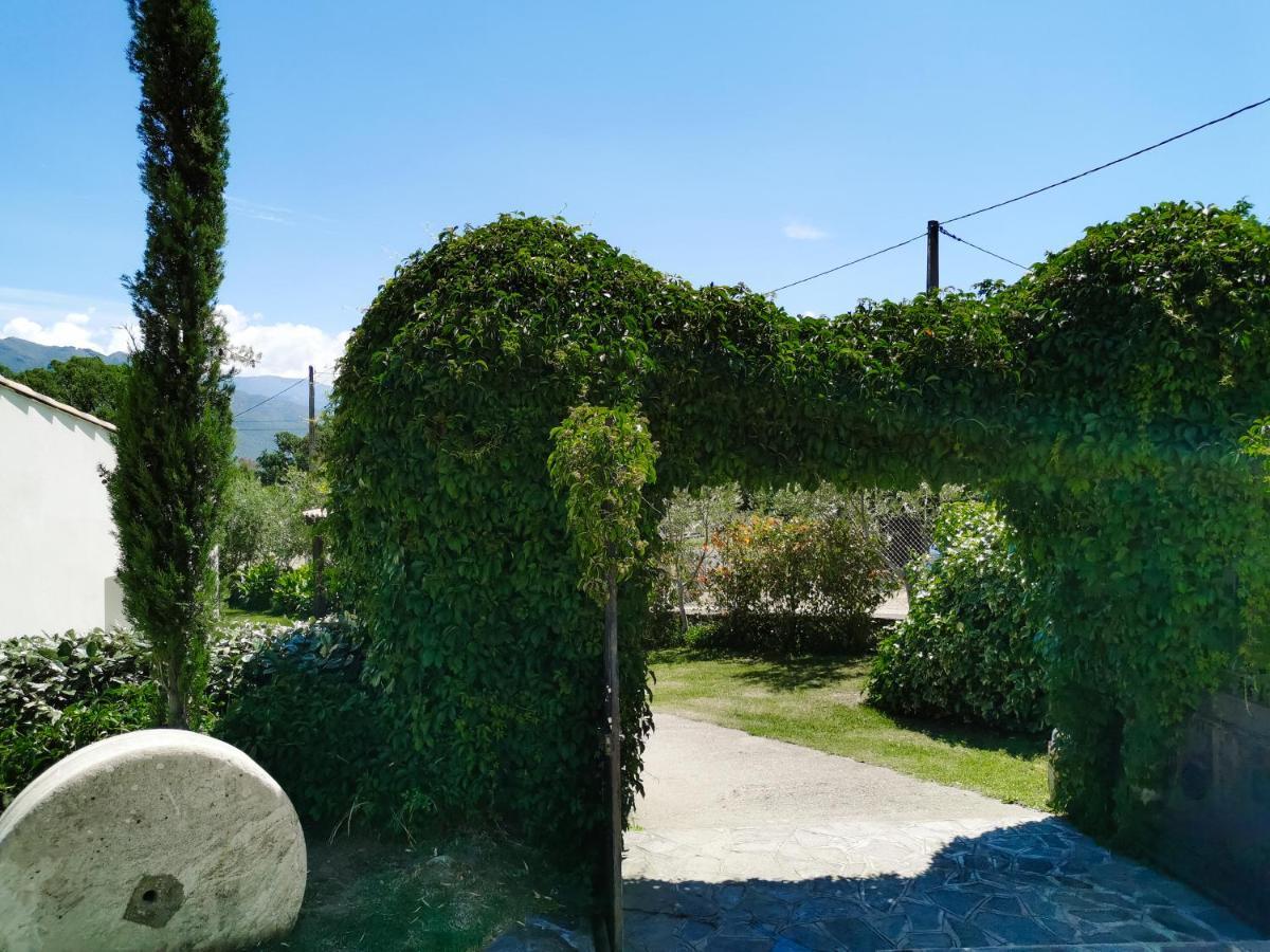 Frühstückspension Maison San Giovanni Corte (Corsica)