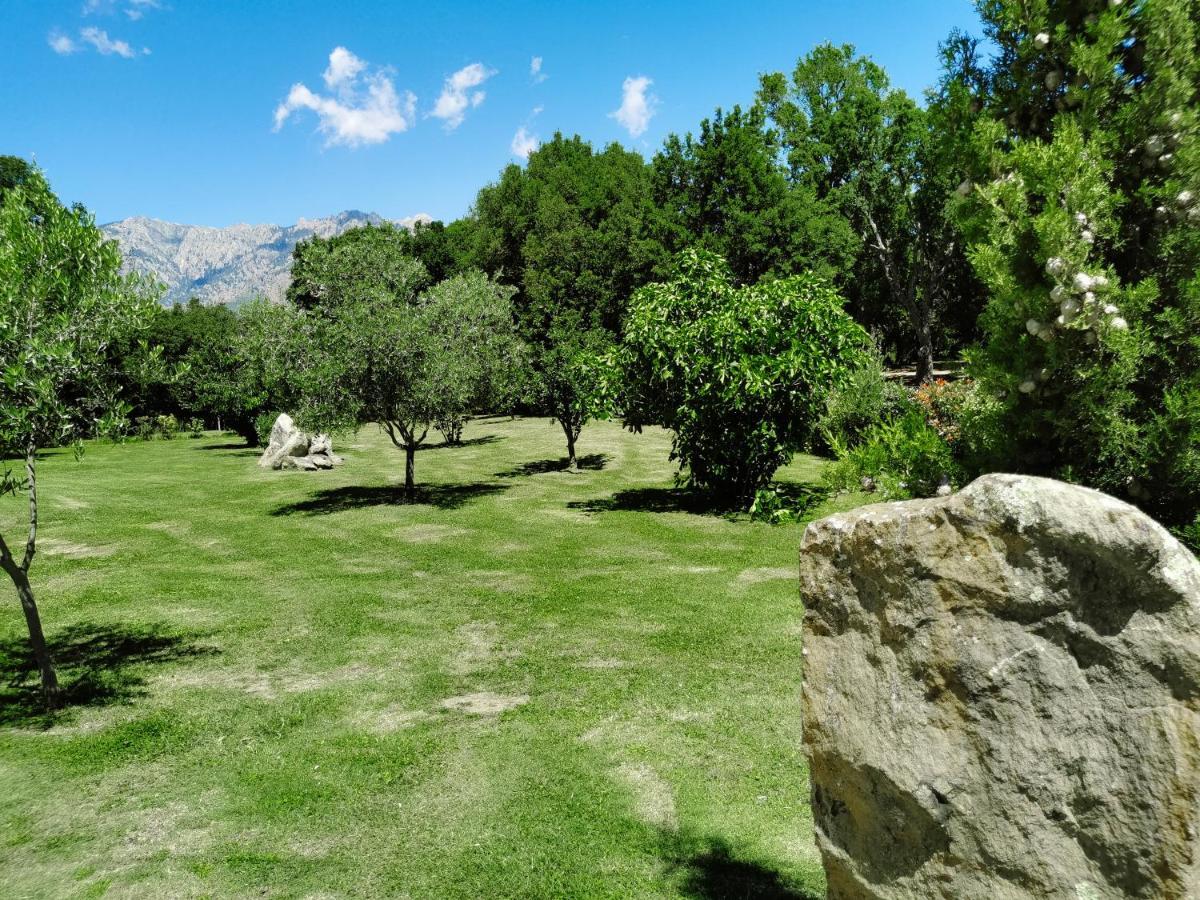Maison San Giovanni Bed & Breakfast